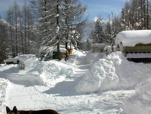 Foto Außenansicht Campingplatz Al Pez