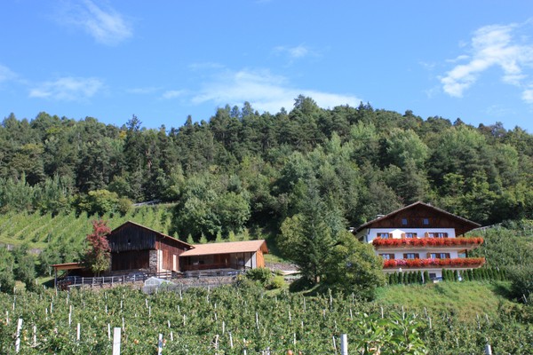 Foto esterno Appartamenti in agriturismo Masunerhof