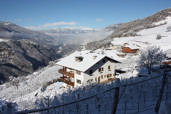Foto invernale di presentazione Appartamenti in agriturismo Masunerhof