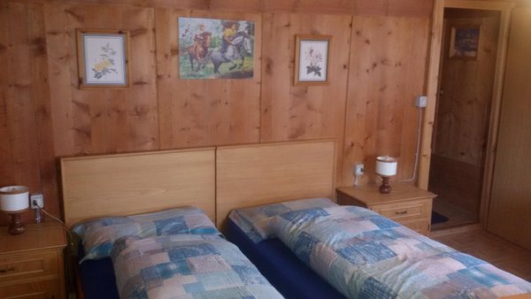 Photo of the room Apartments Col di Lana