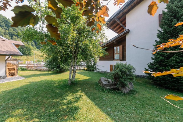 Foto vom Garten Lusern