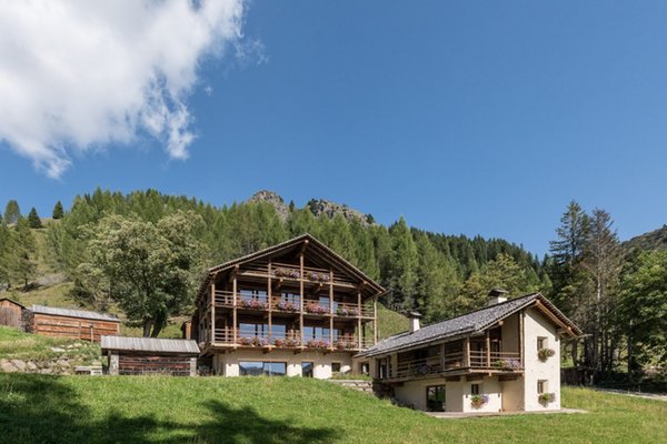 Foto estiva di presentazione Cesa del Louf - Dolomites Exclusive Chalet