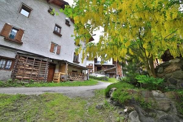 Foto del giardino Sottoguda (Marmolada)