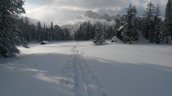 Panorama Bosco Verde (Marmolada)