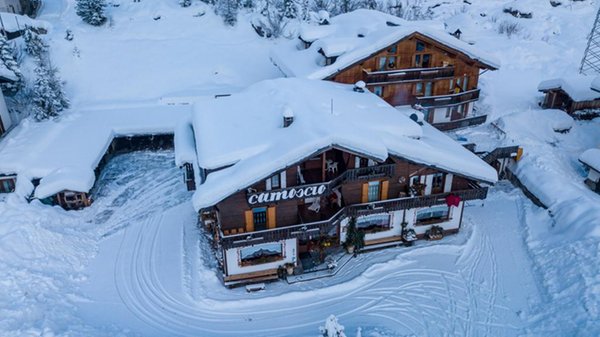 Foto esterno in inverno Camoscio