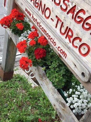 Foto di alcuni dettagli Camoscio