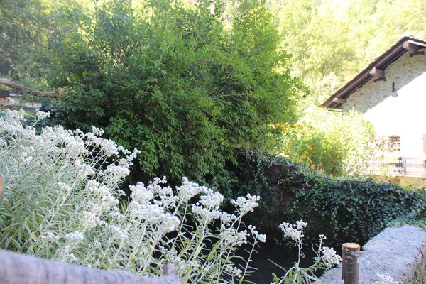 Foto vom Garten Saint-Marcel (Aosta)