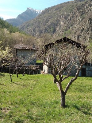 Foto del giardino Saint-Marcel (Aosta)