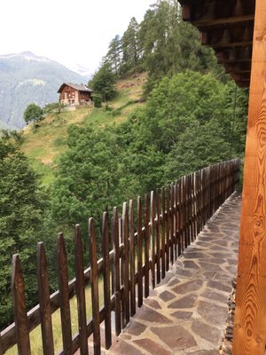 View from the business