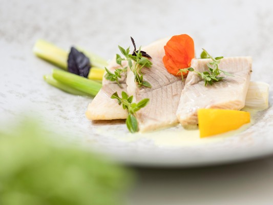 Rezepte und Gourmet-Gerichte Theiner’s Garten