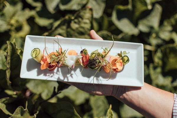 Rezepte und Gourmet-Gerichte Theiner’s Garten
