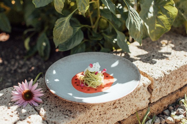 Rezepte und Gourmet-Gerichte Theiner’s Garten