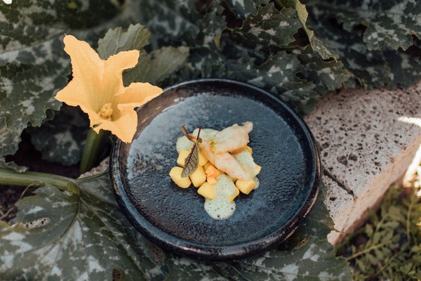 Rezepte und Gourmet-Gerichte Theiner’s Garten