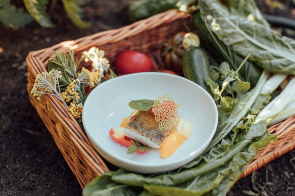 Rezepte und Gourmet-Gerichte Theiner’s Garten