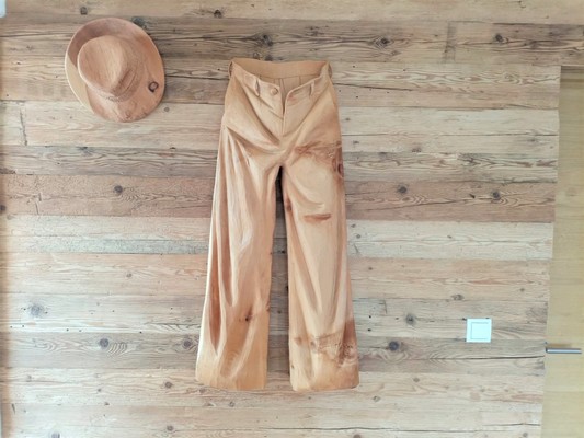 Der Wohnraum Amanita Apartment