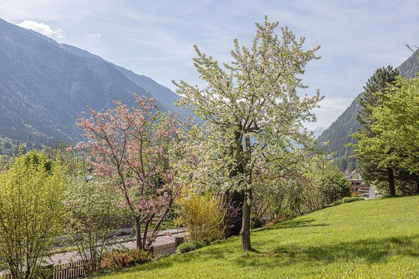 Foto del giardino Molini di Tures