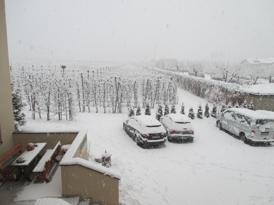 Foto esterno Appartamenti in agriturismo Garnhof