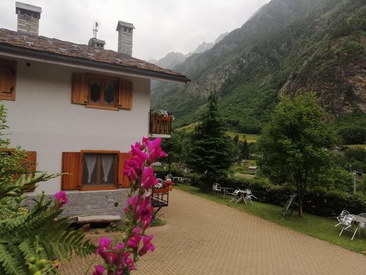 Photo of the garden Rhêmes-Saint-Georges (Gran Paradiso)