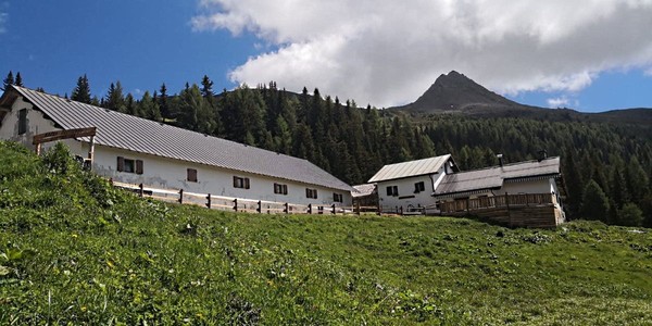 Photo exteriors Malga Coltrondo