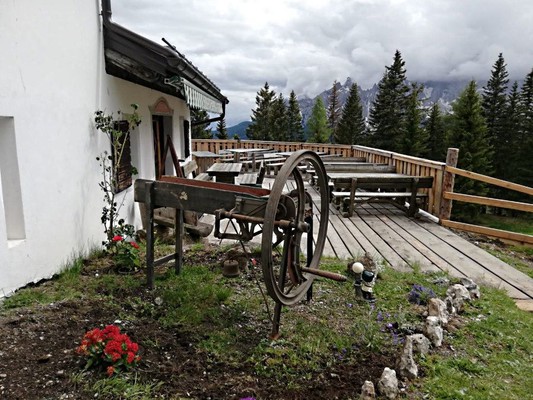 Photo of the garden Sesto / Sexten