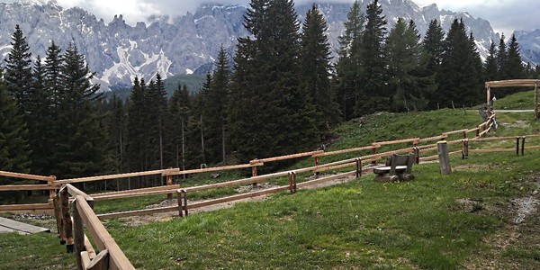 Photo of the garden Sesto / Sexten