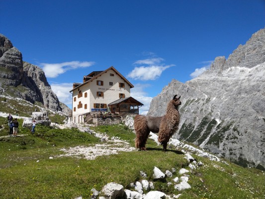 Photo exteriors Mountain hut Zsigmondy