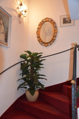 The entrance