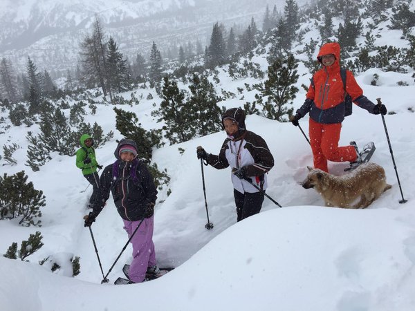 Winter activities Monte Civetta - Ski Civetta