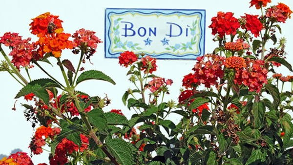 Photo of some details Bon Dì