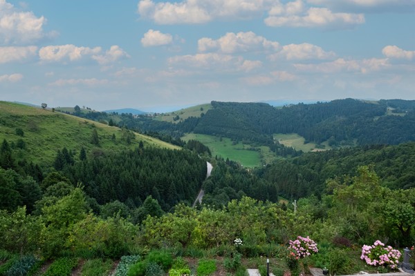 Bildergalerie