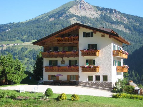 Foto esterno in estate Villa Insam