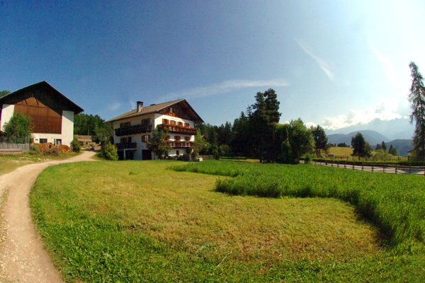Sommer Präsentationsbild Ferienwohnungen auf dem Bauernhof Stauderhof