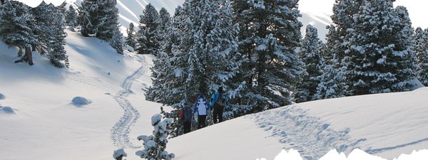 Bildergalerie Winter
