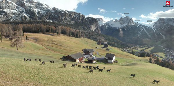 Bildergalerie Sommer