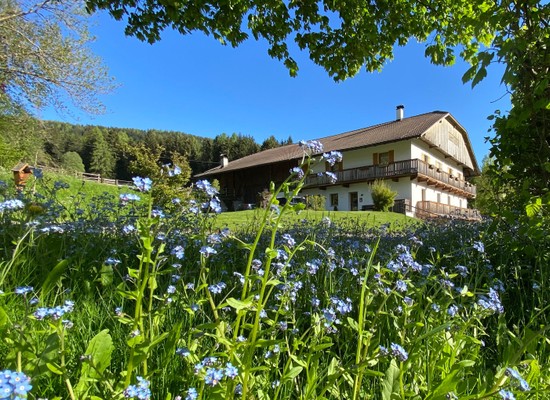 Foto esterno Appartamento Schöpfer Hof