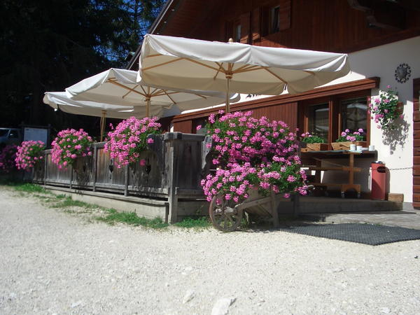 Pizzeria Palma - Val di Zoldo