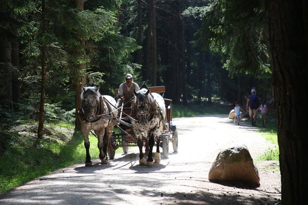Summer activities Alpe di Siusi / Seiser Alm