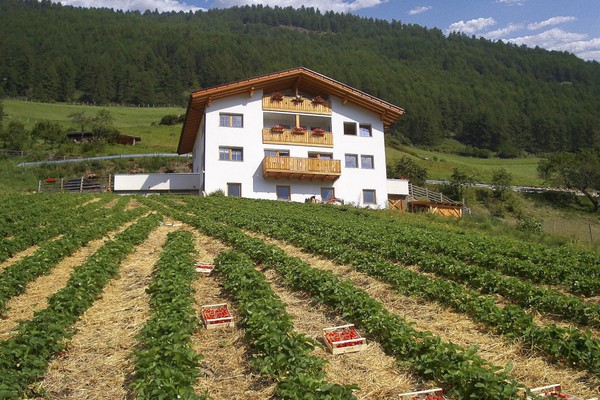 Foto esterno Appartamenti in agriturismo Berghof