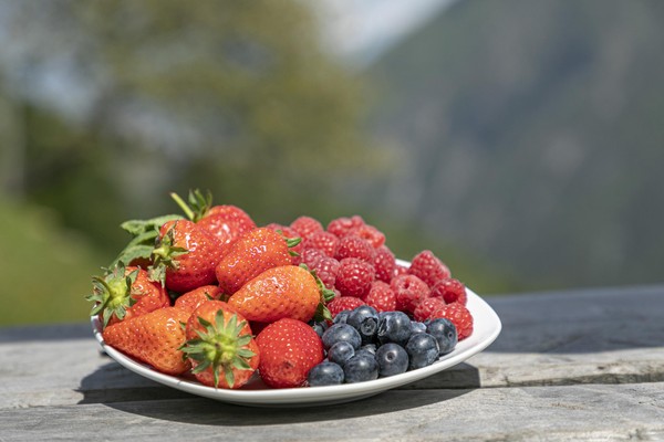 Il cibo