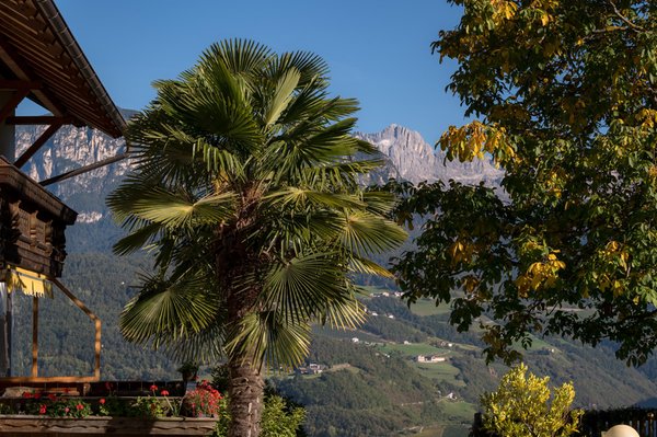 Vista dalla struttura