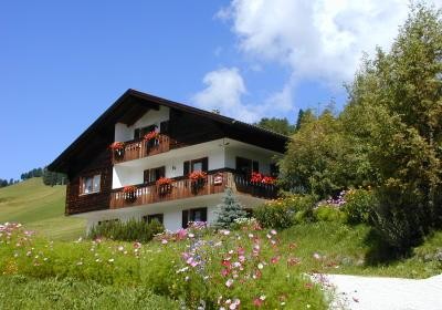 Foto Außenansicht Zimmer mit Frühstück Daunëi