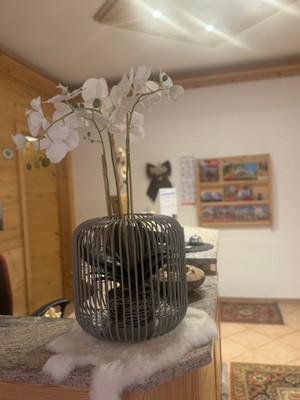 Photo of the reception