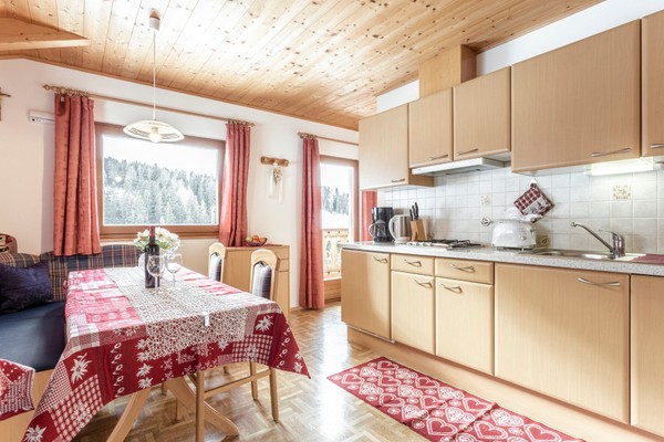 Photo of the kitchen Ciaslat