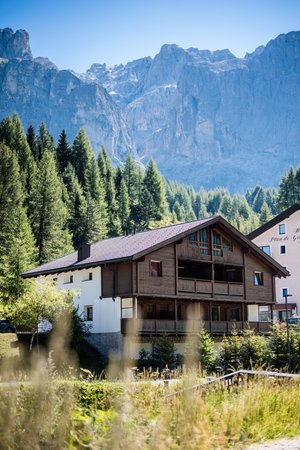 Photo exteriors in summer Chalet Albric