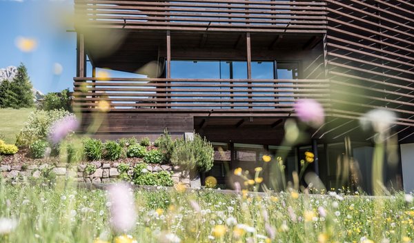 Foto Außenansicht im Sommer Mountain Residence Saleghes