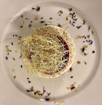 Recipes and gourmet-dishes Il Postin