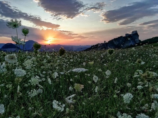 Photo gallery