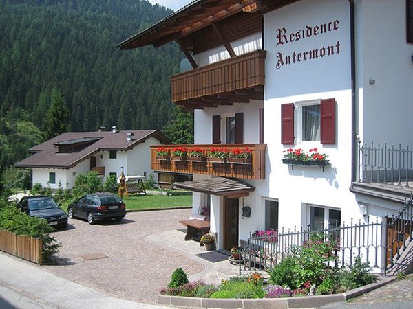 Foto Außenansicht im Sommer Antermont