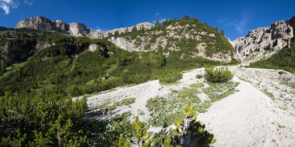 Photo gallery summer