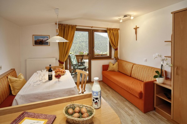 The living area Farmhouse apartments Neuhaus